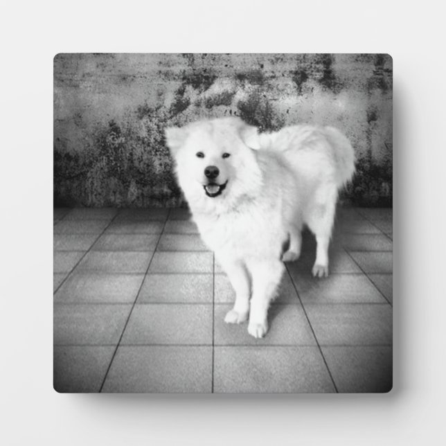 Plaque Photo Amour Fidèle (Devant)