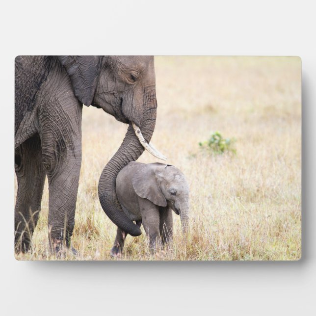 Plaque Photo Amour maternel (Devant)