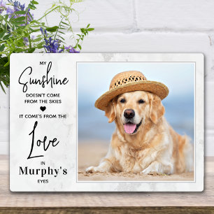 Plaque Photo Amoureux des chiens My Sunshine Photo personnalisé