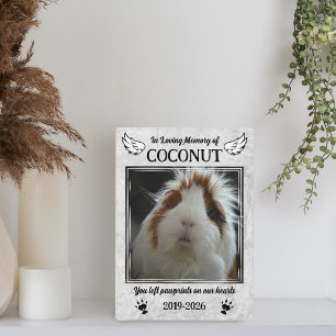 Plaque Photo Angel Wings & Guinée Pig Paws Pet animal de compag