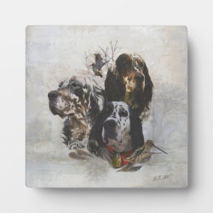 Plaque Photo Anglais Setter, chasse à la bécasse