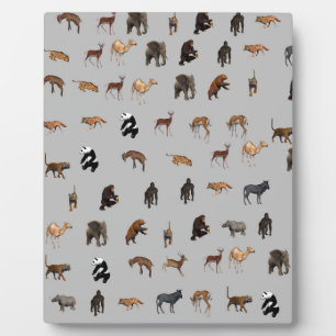 Plaque Photo Animaux