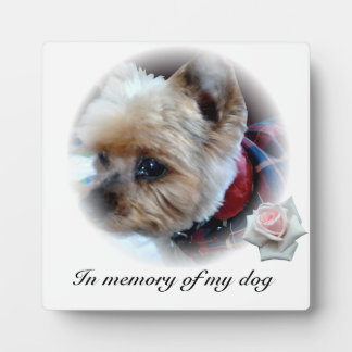 Plaque Photo Animaux de compagnie