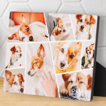 Plaque Photo Animaux de compagnie Moderne Simple Personnalisé 9<br><div class="desc">Ajoutez neuf (9) photos personnalisées du nom de votre animal et de votre animal. Ajoutez vos photos et si nécessaire,  démasquez le groupe de photos et le cadre,  ajustez l'image sur le cadre,  puis cliquez sur masque.</div>