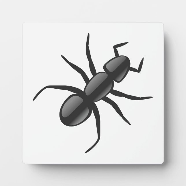 Plaque Photo Ant (Devant)