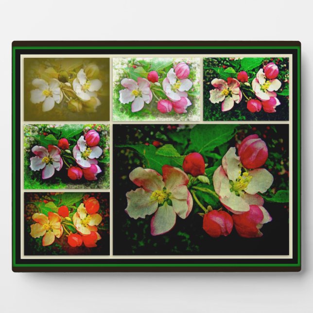 Plaque Photo Apple Blossom Collage - Photo numérique améliorée (Devant)