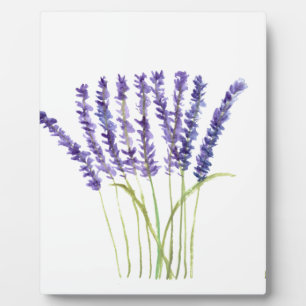Plaque Photo Aquarelle lavande fleurs violettes herbes florales