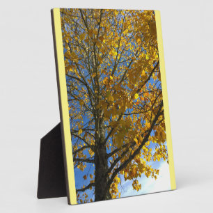Plaque Photo Arbre d'automne jaune