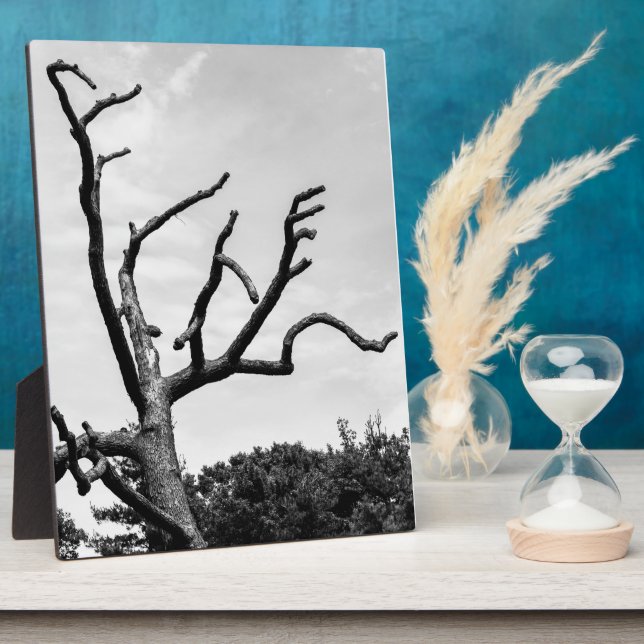 Plaque Photo arbre libre (Côté)