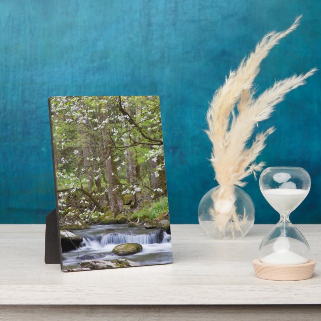 Plaque Photo Arbres à Dogwood | Great Smoky Mountain, Tennessee (Côté)