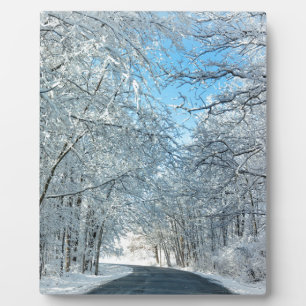 Plaque Photo Arbres neige d'hiver