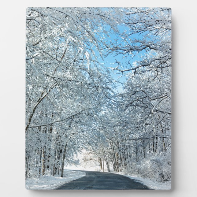 Plaque Photo Arbres neige d'hiver (Devant)