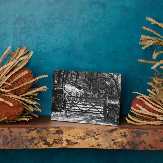 PLAQUE PHOTO ARBRES NOIRS ET BLANCS ET PORTE (Côté)