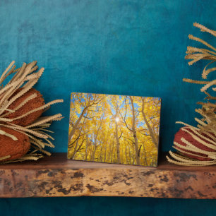 Plaque Photo Arbres trembles Montagnes de la Sierra Nevada, C