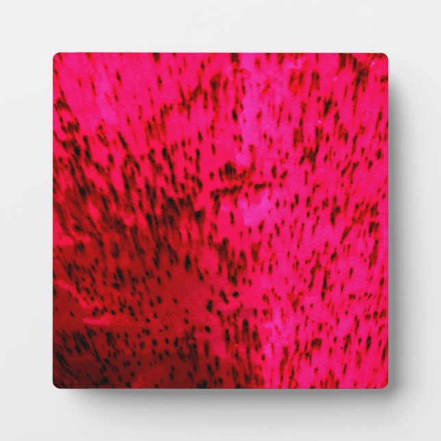 Plaque Photo Argile de fraise (Devant)