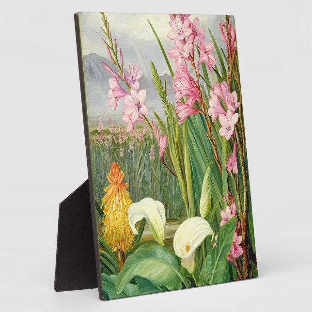 Plaque Photo Art botanique : Beautés du marais (Côté)