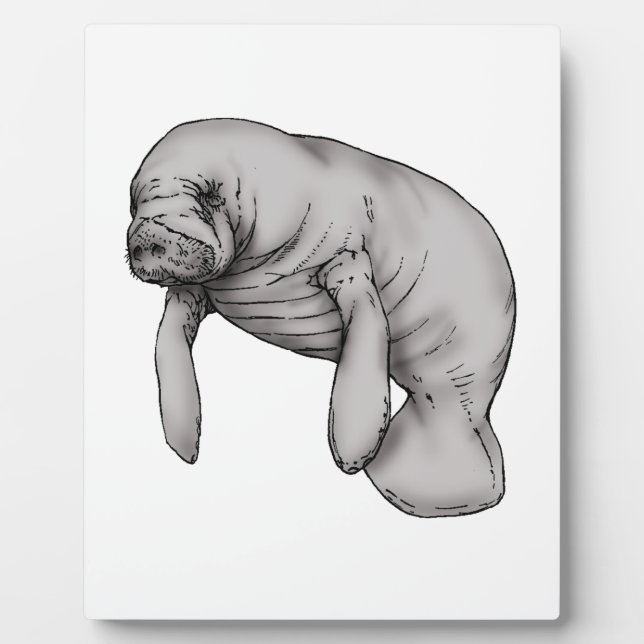 Plaque Photo art manatee (Devant)