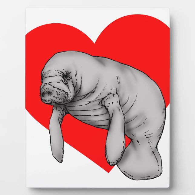 Plaque Photo art manatee (Devant)