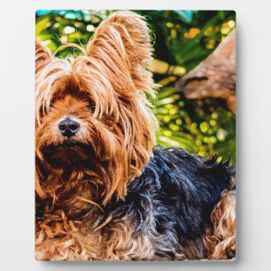 Plaque Photo Art mignon d'amusement de destin d'amour de paix d