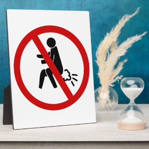 Plaque Photo AUCUN ⚠ Drôle Toilette Thaïlandaise ⚠