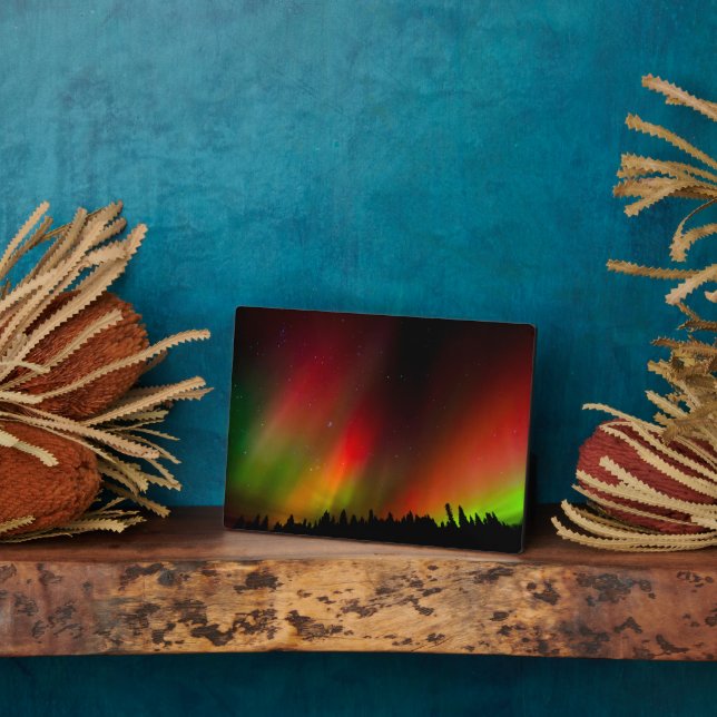 Plaque Photo Aurora Borealis and trees (Côté)