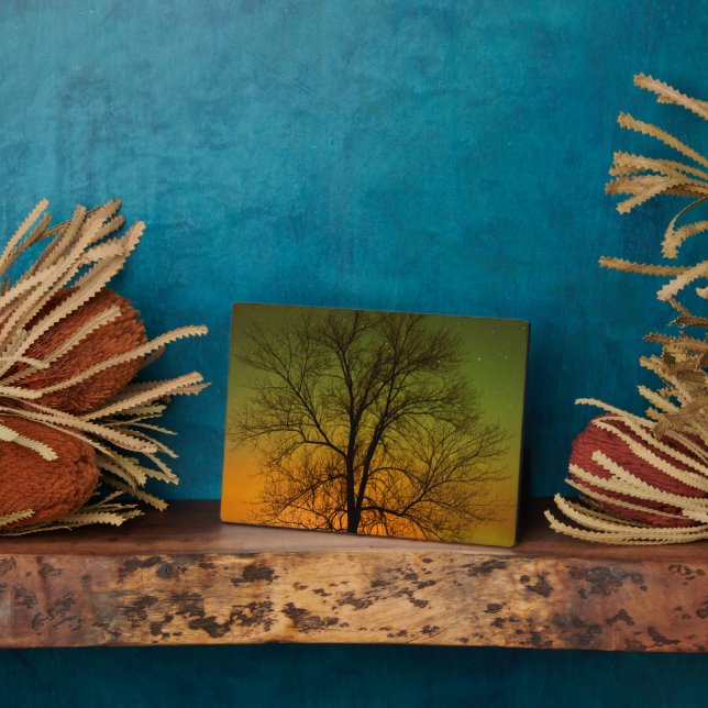 Plaque Photo Aurore Boréale & Peuplier (Côté)