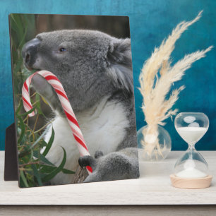 Plaque Photo Australie Noël Koala Bear