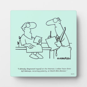 Plaque Photo Auto-diagnostic