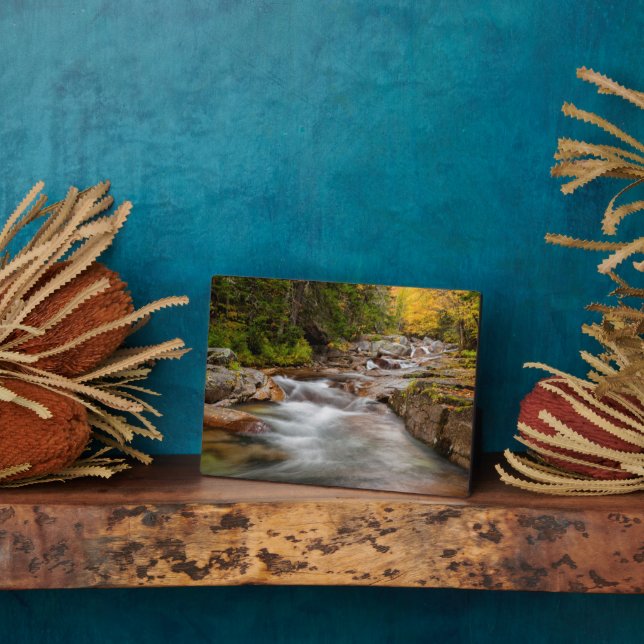 Plaque Photo Automne à Jefferson Brook, New Hampshire (Côté)