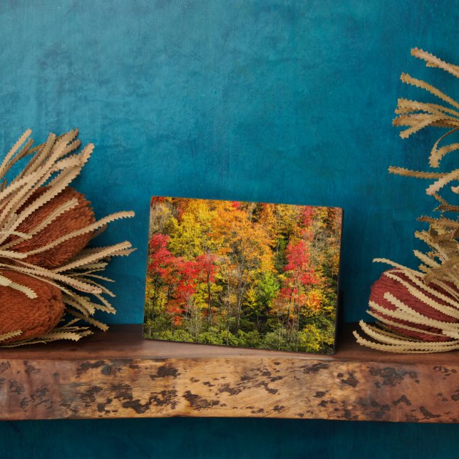 Plaque Photo Automne à Sims Pond North Carolina, Blue Ridge (Côté)