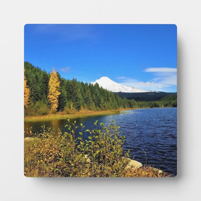 Plaque Photo Autumn at Trillium (Devant)