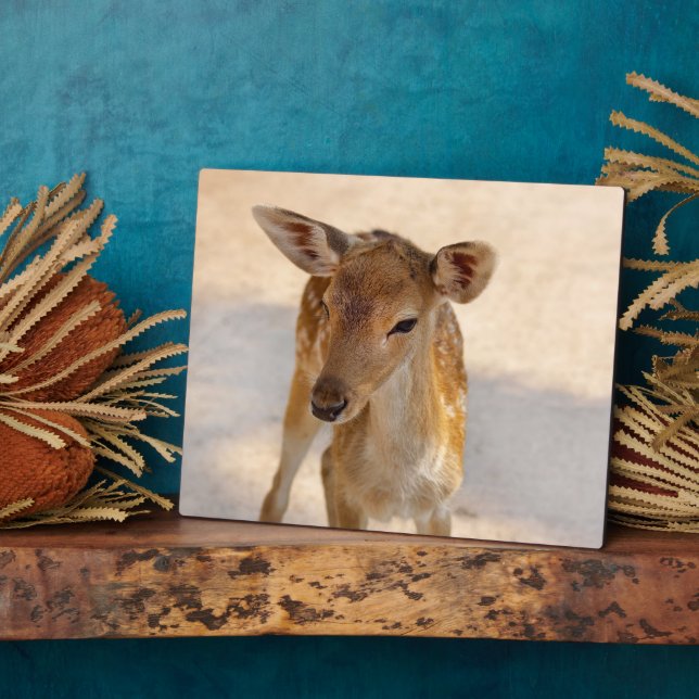 Plaque Photo Baby Deer (Côté)