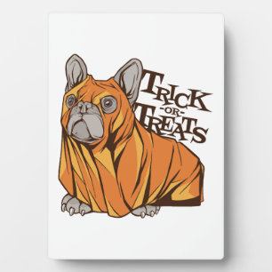 Plaque Photo Balais d'Halloween