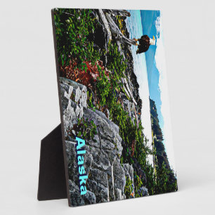 Plaque Photo Bald Eagle Sur La Côte De L'Alaska