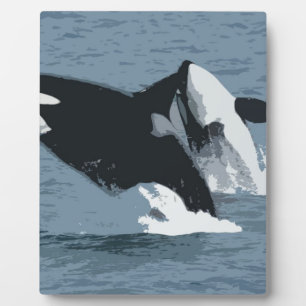 Plaque Photo Baleine d'Orka