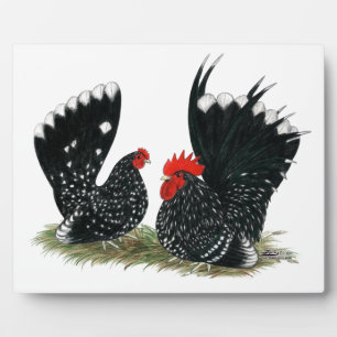 Plaque Photo Bantams Japonais Mottés