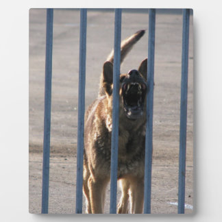 Plaque Photo Barking
