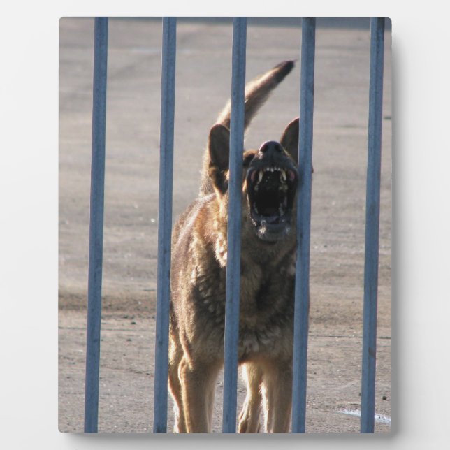 Plaque Photo Barking (Devant)