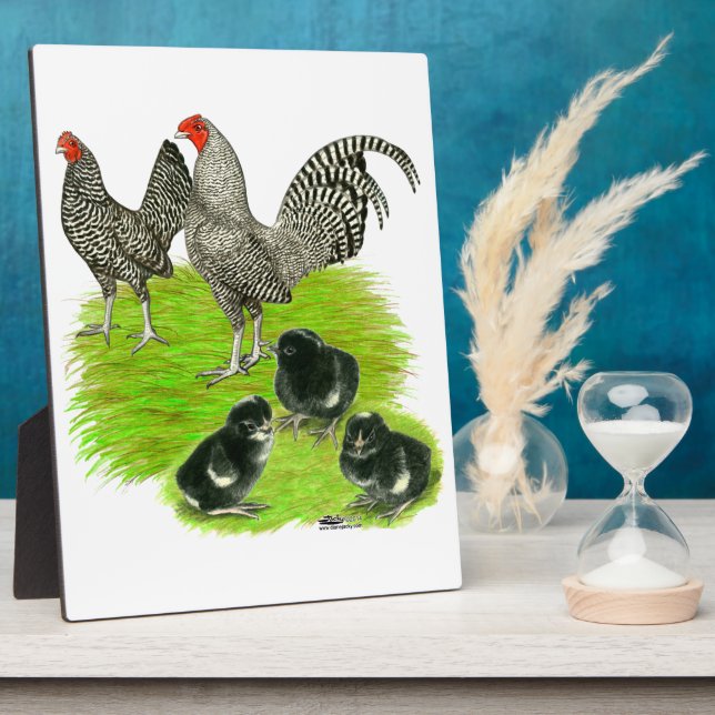 Plaque Photo Barred Bantam Family (Côté)