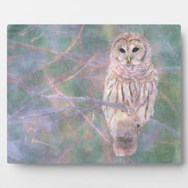 Plaque Photo Barred Owl Pastel Oilpaint (Devant)