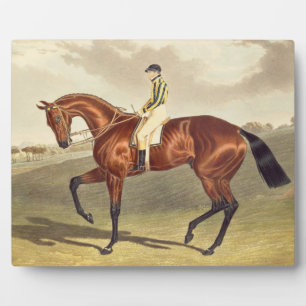 Plaque Photo Bay Middleton, gagnant du Derby en 1836, après
