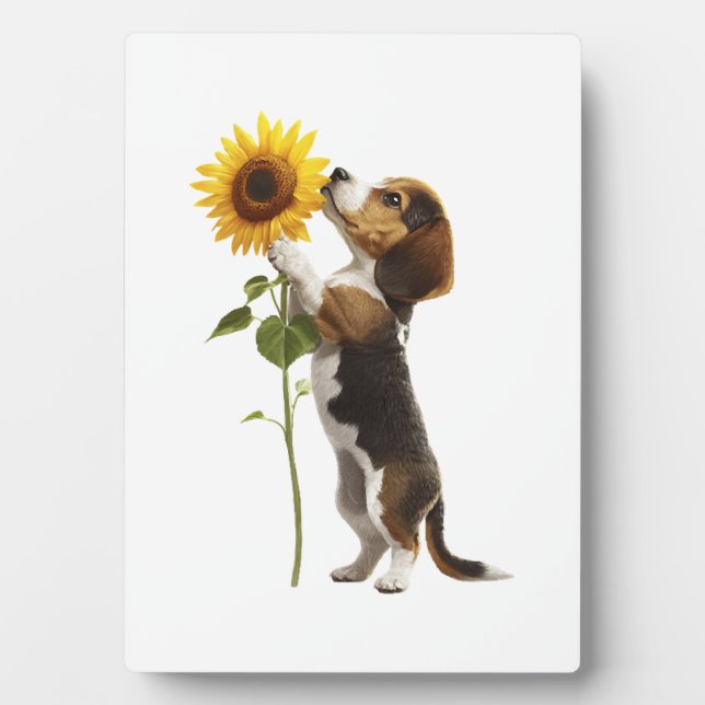 Plaque Photo Beagle Copy (Devant)