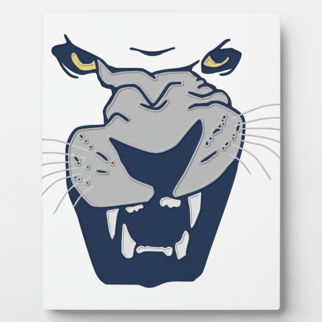 PLAQUE PHOTO BEAST (Devant)