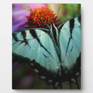 Plaque Photo Beau papillon Turquoise Swallowtail