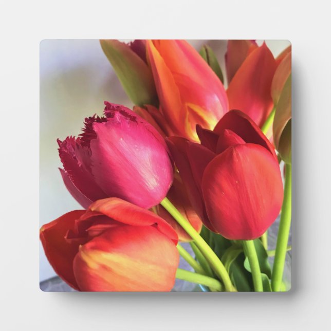 Plaque Photo Beautiful (Devant)