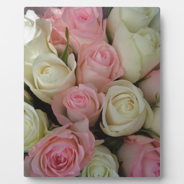 Plaque Photo Beautiful Pink White Roses Flower Bouquet (Devant)
