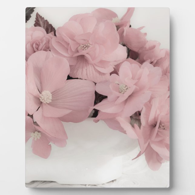 Plaque Photo Begonias rose (Devant)