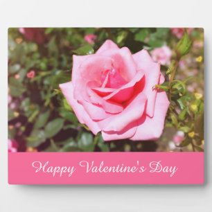 Plaque Photo belle rose rose fleur aux coeurs doux