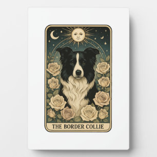 Plaque Photo Berger Border Collie