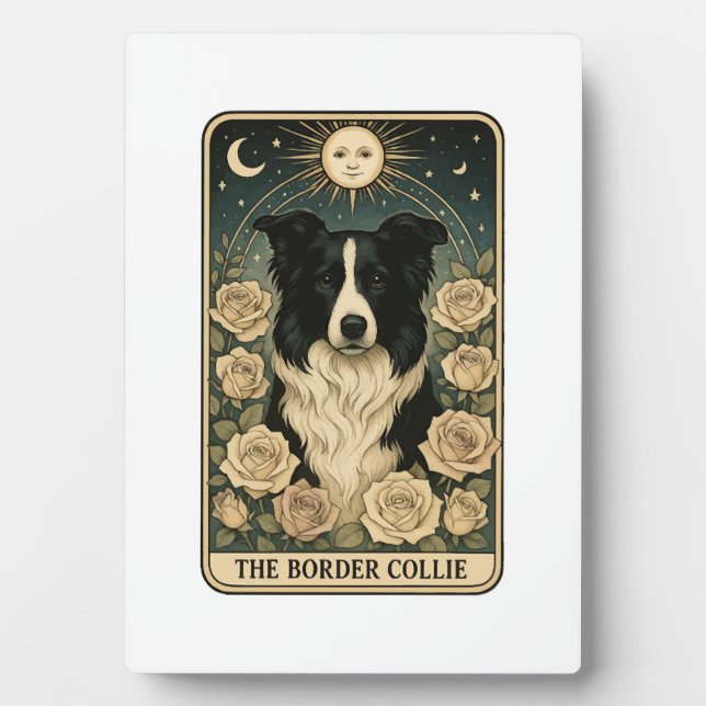 Plaque Photo Berger Border Collie (Devant)